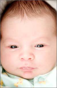Newborn